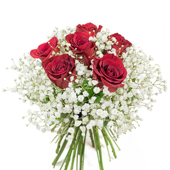 Brought to life by the skilled hands of a Ruislip florist, this exquisite bouquet weaves together the deep passion of red roses with the delicate grace of white gypsophila. Set against a pure white background that spotlights every nuance, six lush, velvety crimson roses command attention-each bloom nearly unfurled, their spiraled petals rich with fiery undertones reminiscent of romantic strolls along Ruislip's leafy avenues. Interwoven through these vibrant blooms are generous clouds of baby's breath, their tiny white buds each a whisper of elegance, adding soft texture and a sense of celebration. The green stems at the base are a fresh reminder of gardens after gentle rain-rich, cool, and full of vitality. The bouquet's sculptural fullness suggests expert arranging, with every flower thoughtfully placed for visual harmony. In both artistry and intent, this bouquet embodies affection, admiration, and the quiet joy of significant moments. Whether presented atop a table in Ruislip Manor or delivered to a doorstep near Manor Farm, it's an enduring symbol of love and appreciation, suited for special occasions or impromptu gestures that linger in memory.
